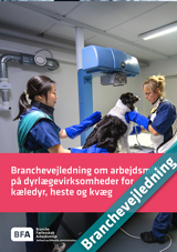 Branchevejledning om arbejdsmiljø på dyrlægevirksomheder for kæledyr, heste og kvæg