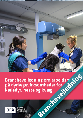 Branchevejledning om arbejdsmiljø på dyrlægevirksomheder for kæledyr, heste og kvæg
