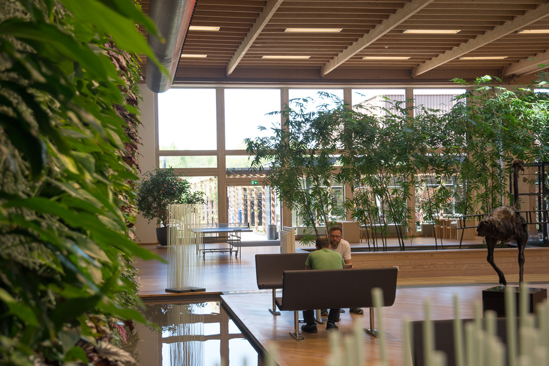 Planter i indeklimaet bidrager med at omsætte CO2 til ilt, men det løser ikke problemet med CO2 indendørs