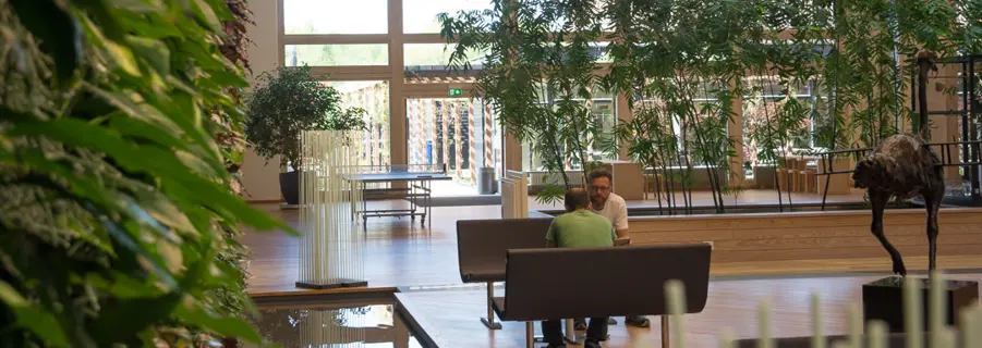 Planter i indeklimaet bidrager med at omsætte CO2 til ilt, men det løser ikke problemet med CO2 indendørs