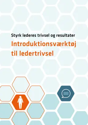 Værktøj: Introduktionsværktøj til ledertrivsel 