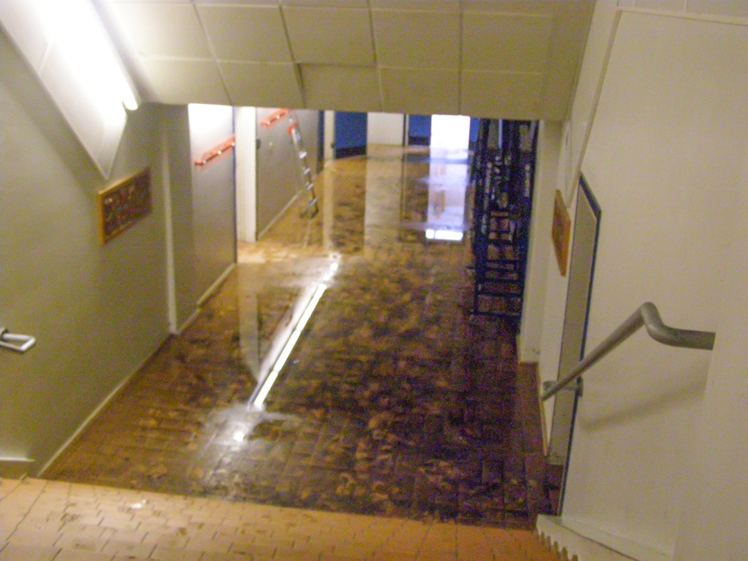 Klimaforandringer øger risikoen for skybrud og oversvømmelser, som kan give fugtskader og skimmelsvamp