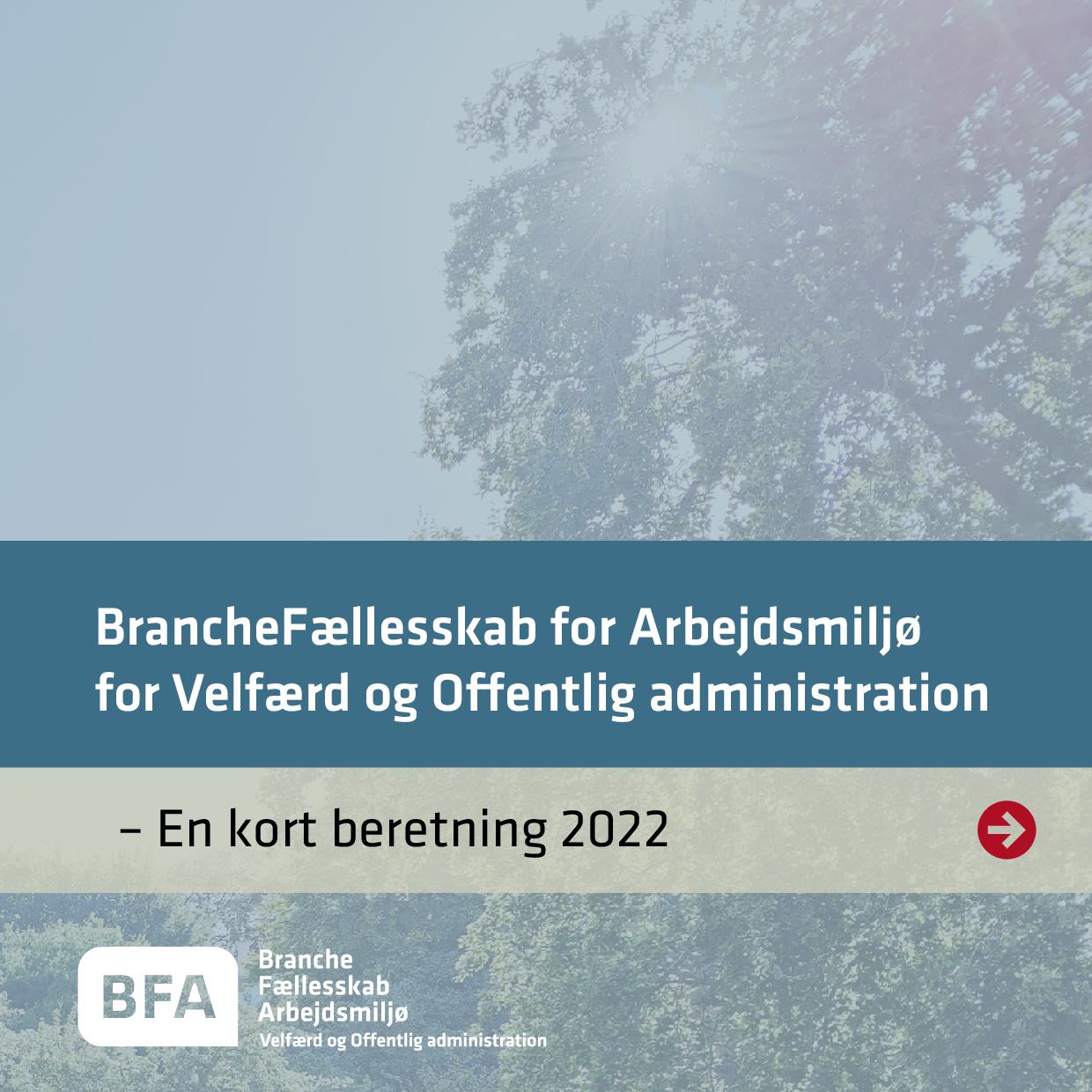 Kort beretning 2022