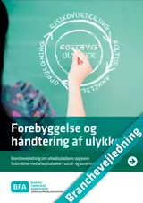 Forebyggelse og håndtering af ulykker i social- og sundhedssektoren