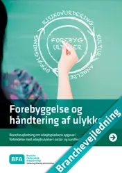 Forebyggelse og håndtering af ulykker i social- og sundhedssektoren