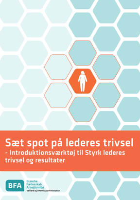 Introværktøj: Sæt spot på lederes trivsel og resultater