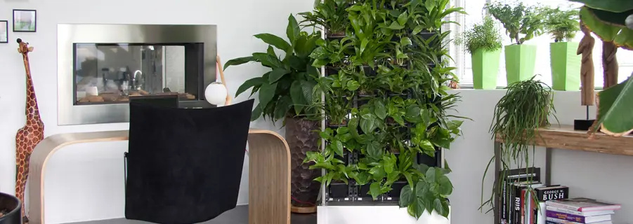 Få styr på indeklimaet inden I flytter